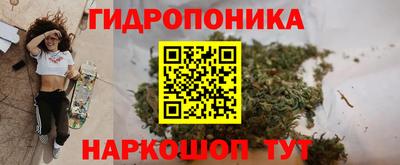 spice Чапаевск