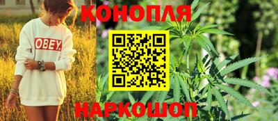 spice Чапаевск