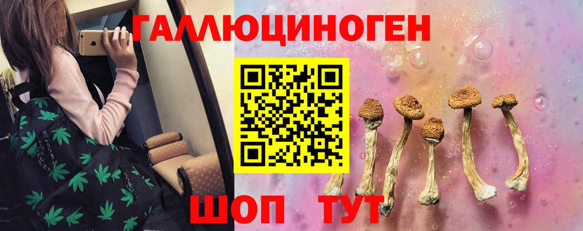 Псилоцибиновые грибы MAGIC MUSHROOMS  Вход с VPN  Сертолово 
